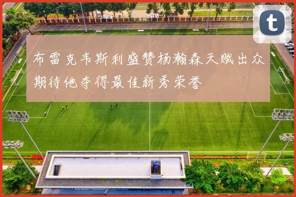 布雷克韦斯利盛赞杨瀚森天赋出众期待他夺得最佳新秀荣誉