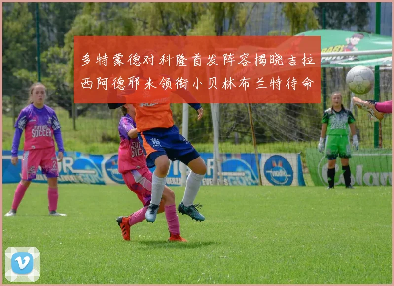 多特蒙德对科隆首发阵容揭晓吉拉西阿德耶米领衔小贝林布兰特待命