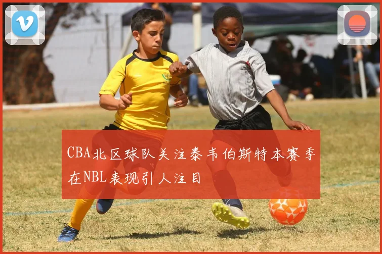CBA北区球队关注泰韦伯斯特本赛季在NBL表现引人注目