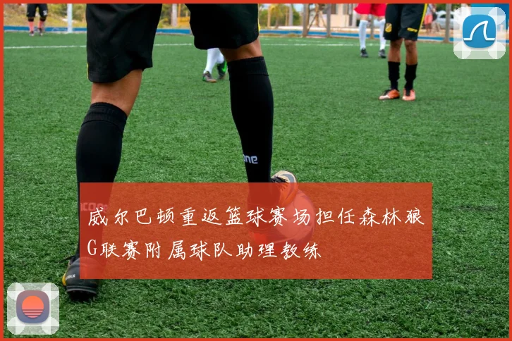 威尔巴顿重返篮球赛场担任森林狼G联赛附属球队助理教练