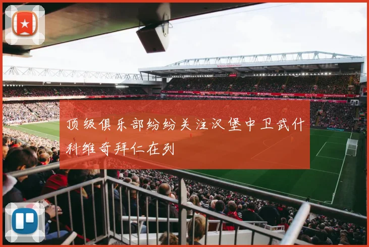 顶级俱乐部纷纷关注汉堡中卫武什科维奇拜仁在列
