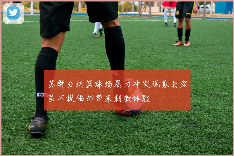 苏群分析篮球场暴力冲突现象打架虽不提倡却带来刺激体验